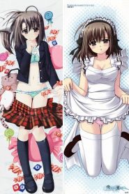 Oretachi ni Tsubasa wa Nai: Under the Innocent Sky.